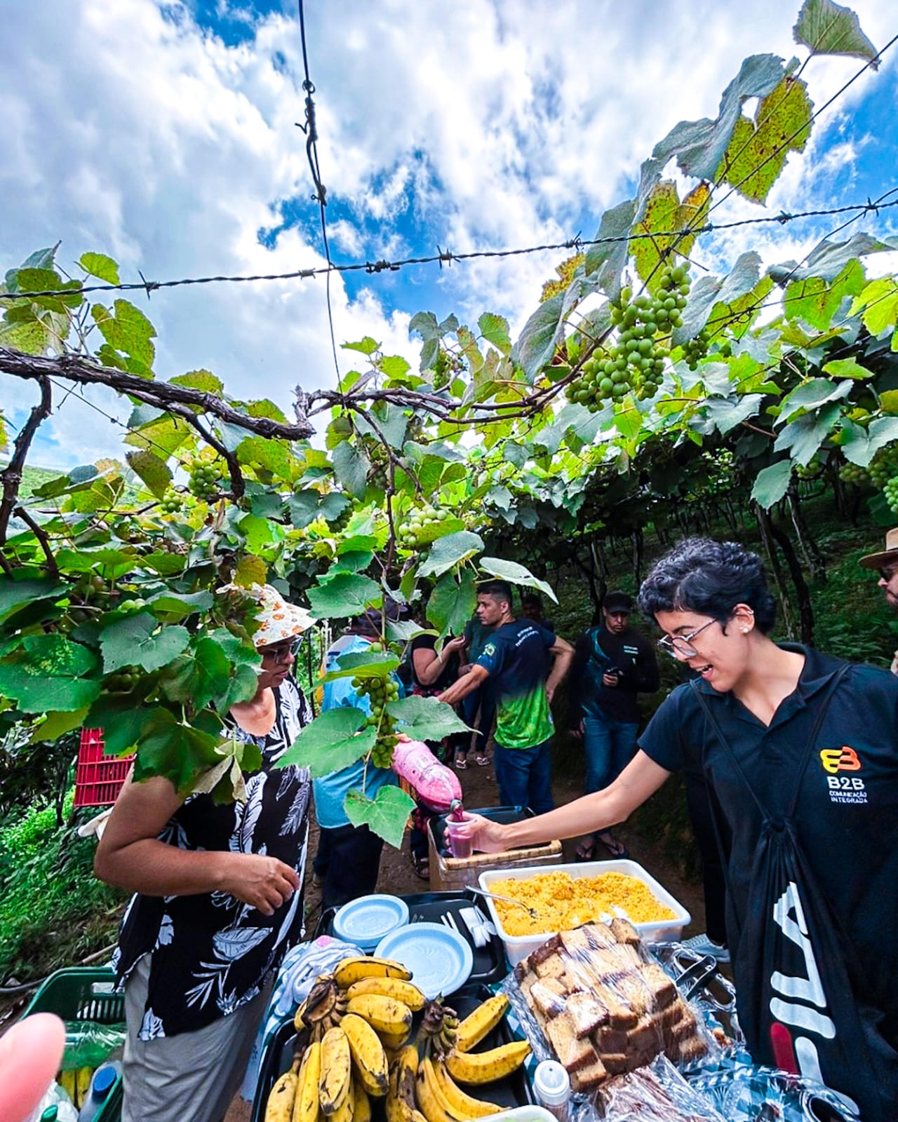 natuba na paraíba rota das uvas (2)